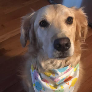 Meet your Posher, Sandra